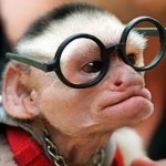 voor aap lopen met je nieuwe bril